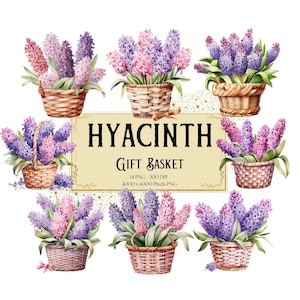 Hyacinth Gift Basket Clipart, Purple Hyacinth Floral Clipart, Pink Hyacinth Valentines Wedding PNG, Hyacinth Bridal Shower Bride PNG Clipart