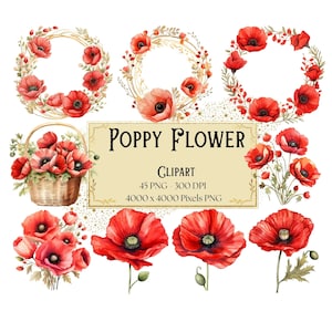 Fleur de pavot Png Clipart, clipart floral pavot rouge, coquelicots botaniques fleurs Saint-Valentin mariage PNG, fleur de pavot mariée mariée PNG