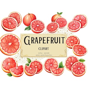 Grapefruit Png Clipart, Grapefruit Slice Clipart, Citrus Clipart, Grapefruit Birthday Baby Shower Party Graphics, Fruit PNG, For Cards Tags
