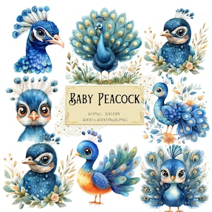 ベビー孔雀のクリップアート、孔雀の鳥のクリップアート、水彩画のクリップアート、孔雀の鳥の誕生日ベビーシャワーPng、保育園の装飾Png水彩画のクリップアート