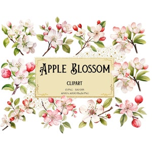 Apple Blassom Flower Png Clipart, Apple Flower Clipart, Apple Fruit Birthday Baby Shower Party Graphics, Fruit Flower PNG, For Cards Tags