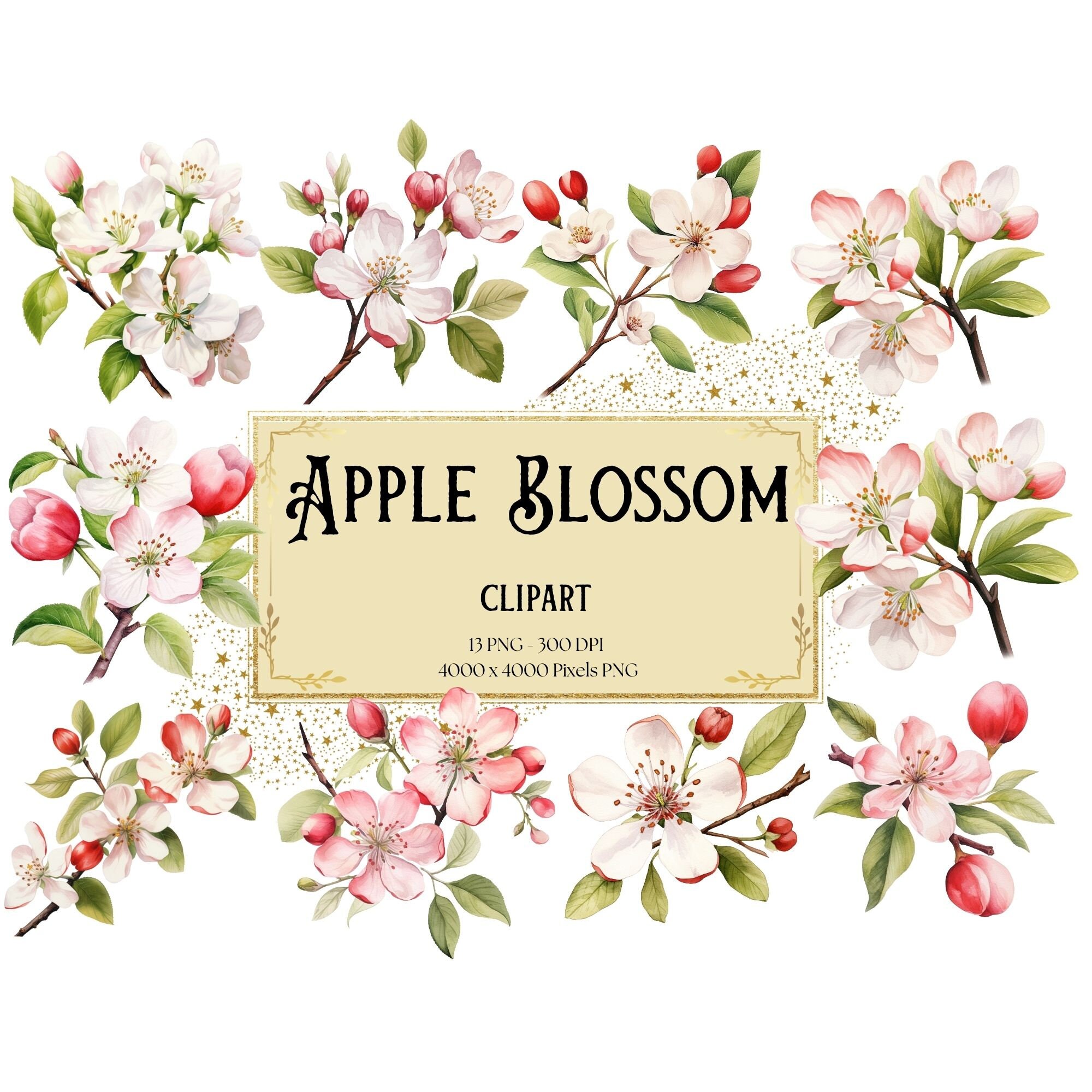 Manzana y flores - Etsy México, image size:2000x2000