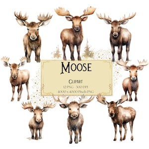 Moose Clipart, Moose Watercolor Clipart, Woodland Animals Clipart, Woodland Forest Animals Png, Baby Shower Birthday Party Graphics Png