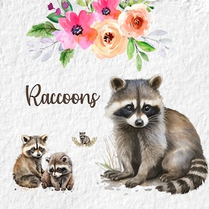 Raccoon  Clipart, Raccoon Watercolor Clipart, Cute Baby Shower Birthday Png Graphics, Woodland Animal Png, For T shirt Mugs Cards, Instant