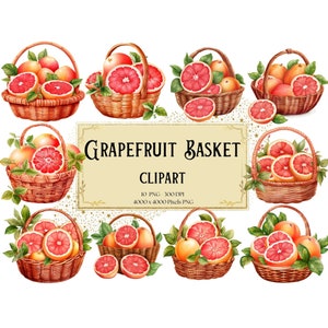 Grapefruit Korb Clipart, Grapefruit Png Clipart, Zitrus Clipart, Grapefruit Geburtstag Baby Shower Party Grafiken, Obst PNG, Instant
