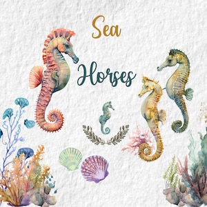 Clipart de caballo de mar, acuarela de caballo de mar png, animal de vida marina del océano png, gráficos de baby shower de fiesta de cumpleaños, para tarjetas, tazas, etiquetas, camiseta png