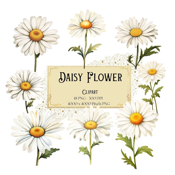 Daisy Flower Clipart, White Daisy Floral Clipart, Daisy Flowers Valentines Wedding PNG, Daisy Flower Bridal Shower Bride PNG Clipart