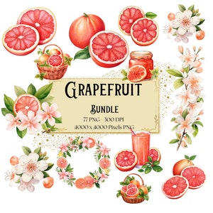 Grapefruit Png Bundle Clipart, Grapefruit Blossom Clipart, Citrus Clipart, Grapefruit Wreath Png, Grapefruit Birthday Baby Shower Party Png