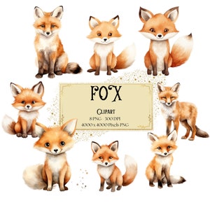 Clipart renard, renard aquarelle, clipart animaux de la forêt, animaux de la forêt des bois Png, baby shower anniversaire fête graphiques, instantané