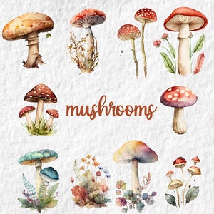 Mushroom Watercolor Clipart, Cute Fungi Baby Shower Graphics, Birthday Party Decor Graphics, Nursery Decor Wall Art, Botanical Art PNG