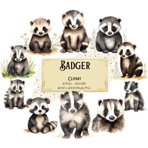Blaireau des cliparts, des cliparts aquarelle, des cliparts animaux de la forêt, animaux de la forêt des bois Png, Baby Shower anniversaire fête graphique Png