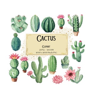 Clipart de cacto, clipart de aquarela suculenta de cacto fofo, gráficos de festa de aniversário de chá de bebê de cactos do deserto PNG, arte de fungos botânicos PNG
