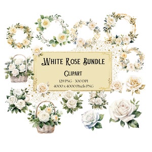 White Rose Clipart, White Rose Bundle Flowers Clipart, White Roses Valentines Wedding Bridal Shower Bride Watercolor White Rose Floral PNG