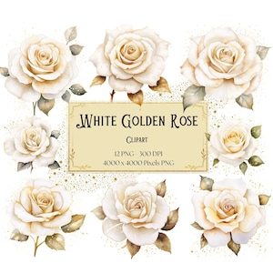 White Golden Rose Clipart, Golden White Rose Flowers Clipart, White Roses Valentines Wedding PNG, Bridal Shower White Roses PNG Clipart