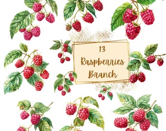 Raspberry Branch Clipart, Raspberries Basket Fruit Clipart, Cute Raspberry Birthday Baby Shower Party Graphics, Nursery Decor Wall Art
