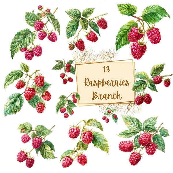 Raspberry Decor Etsy