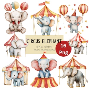 Circus Elephant Clipart, Elephant  Png, Circus Clipart, Circus Elephant Sublimation Nursery Kids Png, For Mugs Cards T shirt Tags