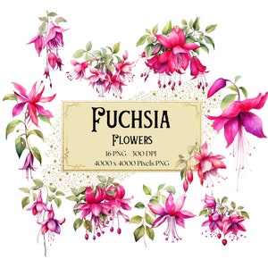 Fuchsia Flower Clipart, Pink Fuchsia Flower Bouquet Clipart, Fuchsia Valentines Wedding PNG, Fuchsia Bridal Shower Bride PNG Clipart