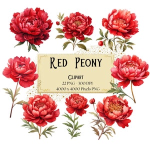 Rote Pfingstrose Png Clipart, Frühling Rote Pfingstrose Blumen Clipart, Rote Pfingstrose Blumen Valentinstag Hochzeit PNG, Pfingstrose Braut Braut PNG