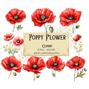 Fleur de pavot Png Clipart, Clipart floral pavot rouge, printemps botanique coquelicots fleurs Saint-Valentin mariage PNG, fleur de pavot mariée mariée PNG