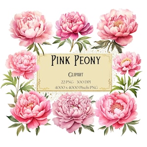 Rosa Pfingstrose Png Clipart, Frühling Rosa Pfingstrose Blumen Clipart, Rosa Pfingstrose Blumen Valentinstag Hochzeit PNG, Pfingstrose Braut PNG
