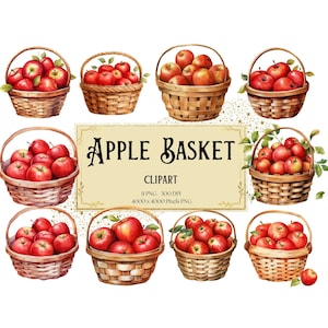 Clipart appel fruitmand, appel oogst fruit clipart, appel fruit verjaardag babyshower party graphics, fruit png, voor kaarten mokken Tags