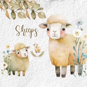 Clipart acquerello di pecora, grafica carina per la doccia per bambini con agnello e pecora, arte della parete per la decorazione della scuola materna del cortile della festa di compleanno, PNG degli animali da fattoria primaverili