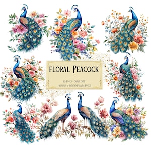 花の孔雀のクリップアート、孔雀の鳥のクリップアート、水彩画のクリップアート、孔雀の鳥の誕生日ベビーシャワーPng、保育園の装飾Pngクリップアート