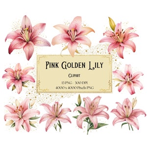 Clipart de lírio rosa dourado, clipart de flores de lírio rosa dourado, lírio rosa dia dos namorados casamento PNG, chá de panela rosa lírio PNG clipart, instantâneo