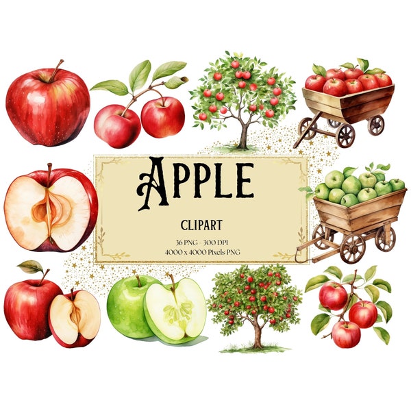 Apple Fruit Png Clipart, Apple Harvest Fruit Clipart, Apple Fruit Birthday Baby Shower Party Graphics, Fruit PNG, For Cards Mugs Tags