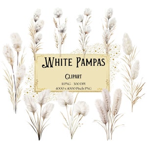 White Pampas Flower Clipart, Autumn Boho Fall White Pampas Flower Clipart, Neutral Floral Bridal Valentines Wedding PNG, Bride Floral PNG