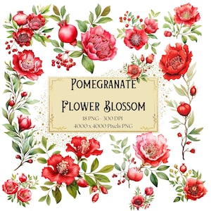 Clipart di fiori di melograno in fiore, clipart di fiori di melograno primaverile, matrimonio di San Valentino di melograno PNG, sposa floreale PNG