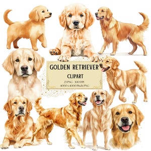 Golden Retriever Clipart, Baby Golden Retriever Puppies Clipart, Baby Shower Birthday Nursery Party Clipart PNG, Commerical Use