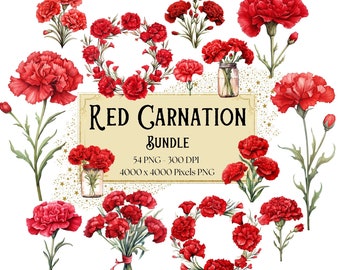 Red Carnation Flower Clipart, Watercolor Floral Bundle (PNG)