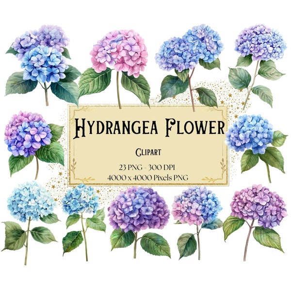 Hydrangea Flower Clipart, Spring Blue Hydrangea Floral Clipart, Hydrangea Flowers Valentines Wedding PNG, Flower Bridal Shower Bride PNG