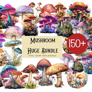 Clipart champignon, forêt champignon vénéneux énorme Bundle Clipart, clipart champignons champignons psychédéliques magiques, baby shower anniversaire chambre d'enfant fête Png