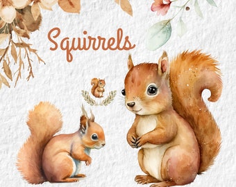 Squirrel Watercolor Clipart, Cute Baby Shower Graphics, Nursery Decor ...