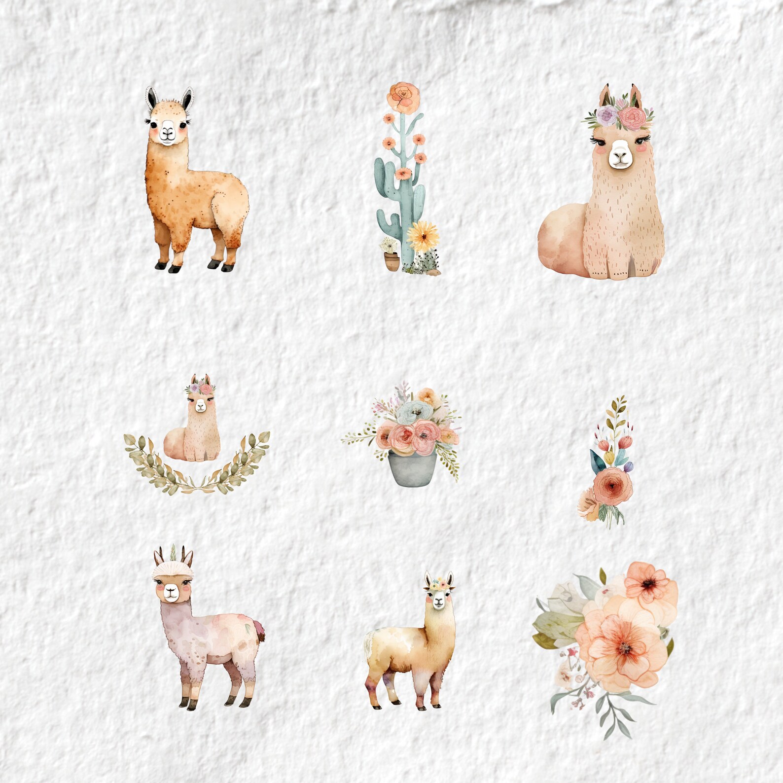 Llama Watercolor Clipart Cute Alpaca Baby Shower Graphics - Etsy