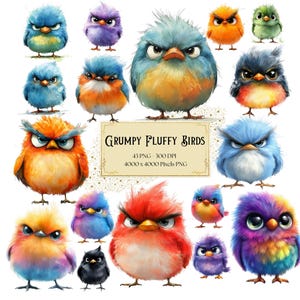 Imágenes prediseñadas de pájaro esponjoso gruñón, imágenes prediseñadas de paquete de pájaros gruñones, imágenes prediseñadas de pájaros divertidos, imágenes prediseñadas de cumpleaños de baby shower PNG
