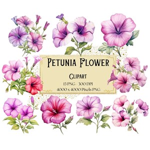 Petunia Flower Png Clipart, Spring Purple Petunia Flower Clipart, Botanical Petunia Plant Valentines Wedding PNG, Floral Bridal Bride PNG