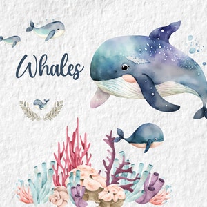 Wal Clipart, Floral Baby Wal Aquarell Clipart, Meeresleben Unterwasser Ozean Tier Png, Babyparty Geburtstag Party Dekor Png, für Karten
