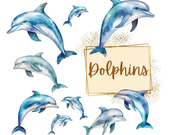 Delfin Clipart, Delfin Grafiken Meer Leben PNG, Unterwasser Ozean Png, Meerestiere PNG, Geburtstag Baby Dusche PNG, Für T Shirt Becher Karte