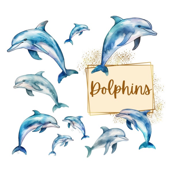 Dolphin Clipart, Dolphin Graphics Sea Life PNG, Underwater Ocean Life Png, Sea Creatures PNG, Birthday Baby Shower PNG, For T Shirt Mug Card