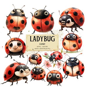 Clipart coccinelle, clipart insecte mignon coccinelle, baby shower anniversaire chambre d'enfant fête graphiques PNG, pour t shirt tasses cartes cadeaux tags