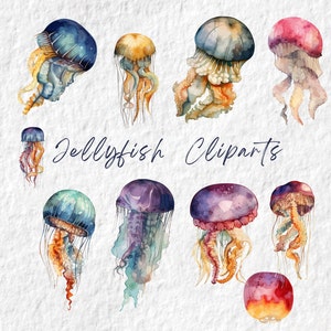 Jellyfish Watercolor Clipart, Cute Sea Animal Watercolor Graphics, Baby Shower Sublimation Graphics, Jellyfish Decor Wall Art, Jellyfish PNG