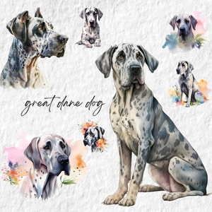 Great Dane Dog Clipart, Dane Dog Puppy Watercolor Clipart, Little Pet Puppy Doggie Animal Png, Birthday Baby Shower Graphics, For DIY