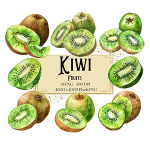 Kiwi Obst Png Clipart, Kiwi Aquarell Clipart, Kiwi Geburtstag Baby Shower Party Grafiken, Obst PNG, Für Karten Tassen Tags