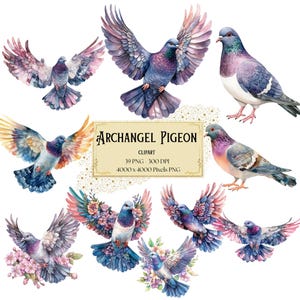 Clipart de pássaro arcanjo pombo, clipart floral de pombo arcanjo, pássaro pombo png, clipart de pássaro, chá de bebê aniversário png, para camisetas cartões
