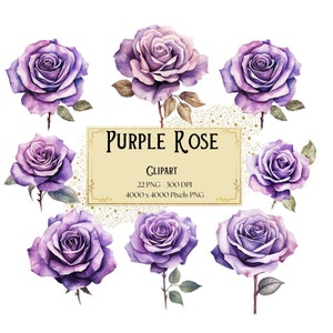 Purple Rose Clipart, Purple Rose Flowers Clipart, Purple Roses Valentines Wedding PNG, Purple Roses Bridal Shower Bride PNG Clipart, Instant