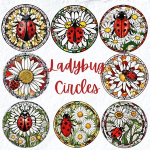 Clipart in vetro colorato coccinella, simpatico fantasy coccinella cerchio rotondo PNG, per etichette regalo tazze magliette Clipart PNG